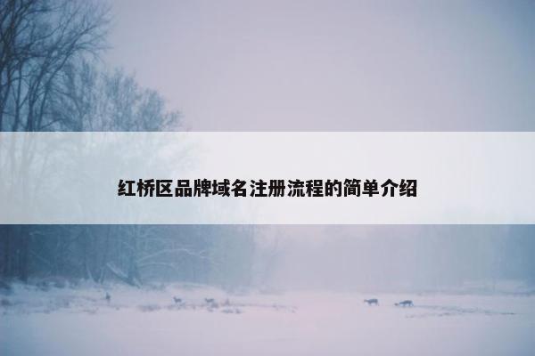 红桥区品牌域名注册流程的简单介绍