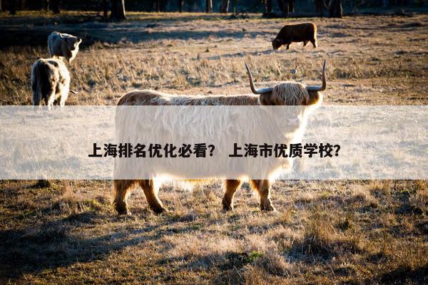 上海排名优化必看？ 上海市优质学校？