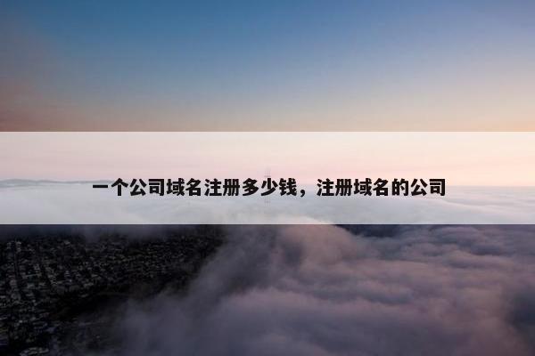 一个公司域名注册多少钱，注册域名的公司
