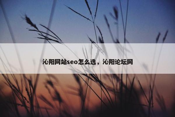 沁阳网站seo怎么选，沁阳论坛网
