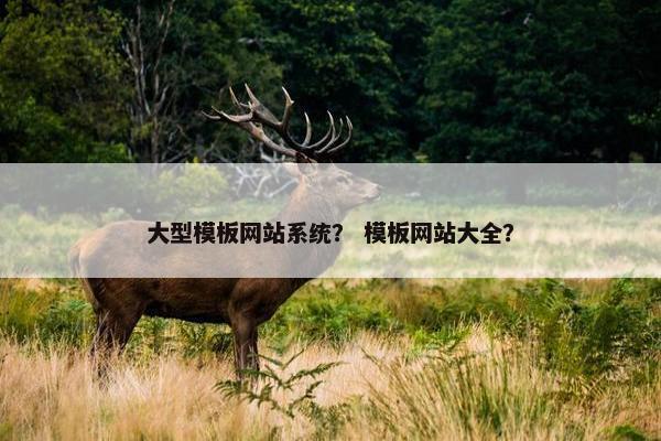 大型模板网站系统？ 模板网站大全？