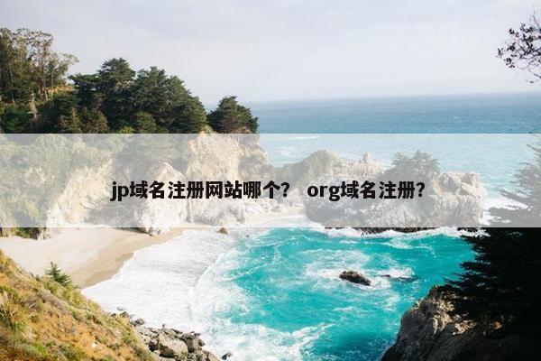 jp域名注册网站哪个？ org域名注册？