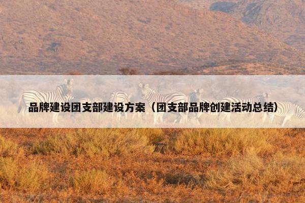 品牌建设团支部建设方案（团支部品牌创建活动总结）