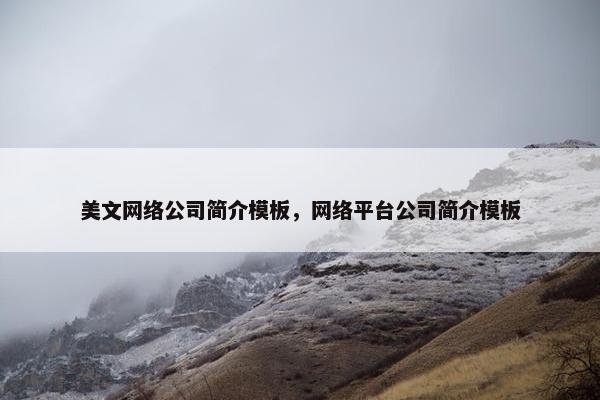美文网络公司简介模板，网络平台公司简介模板