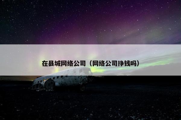 在县城网络公司（网络公司挣钱吗）