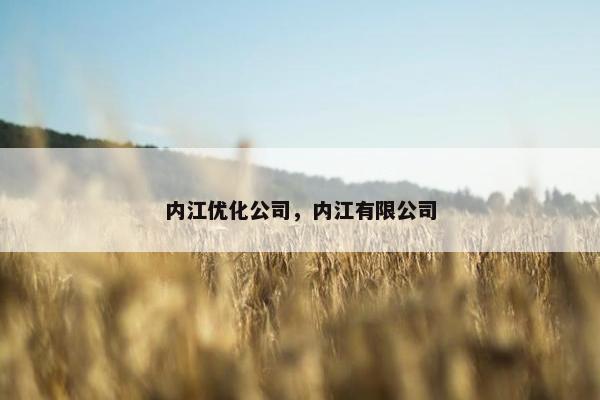 内江优化公司，内江有限公司