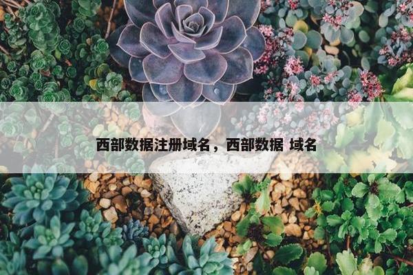 西部数据注册域名，西部数据 域名