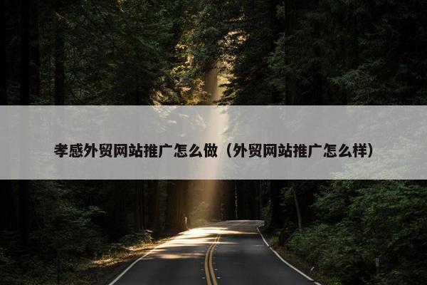 孝感外贸网站推广怎么做（外贸网站推广怎么样）