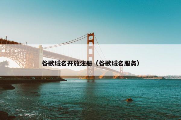 谷歌域名开放注册（谷歌域名服务）