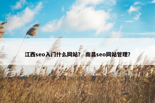 江西seo入门什么网站？ 南昌seo网站管理？