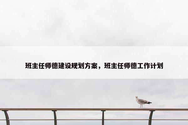班主任师德建设规划方案，班主任师德工作计划