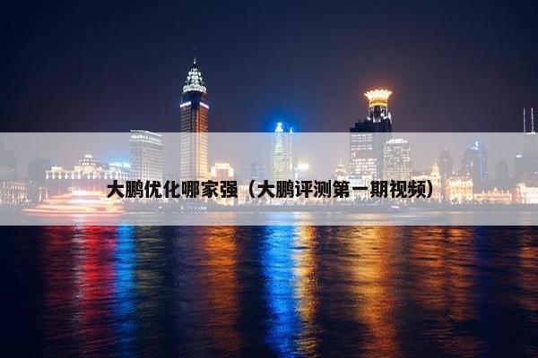大鹏优化哪家强（大鹏评测第一期视频）