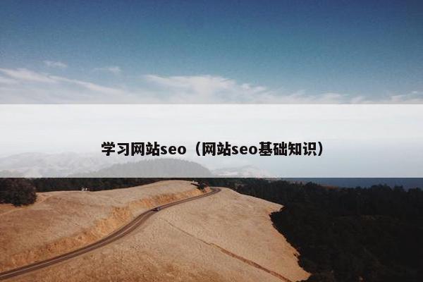 学习网站seo（网站seo基础知识）
