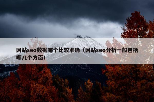 网站seo数据哪个比较准确（网站seo分析一般包括哪几个方面）