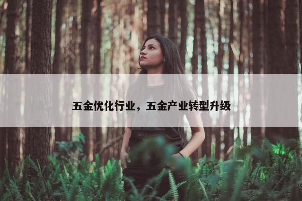 五金优化行业，五金产业转型升级