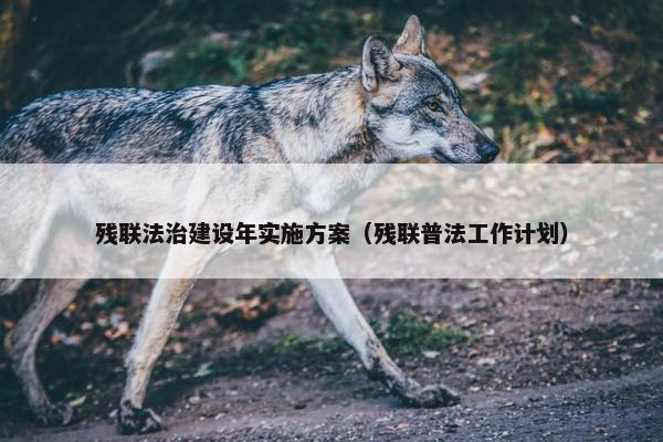 残联法治建设年实施方案（残联普法工作计划）