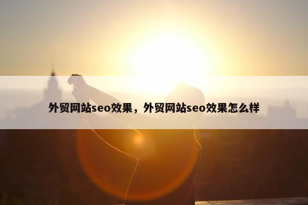 外贸网站seo效果，外贸网站seo效果怎么样