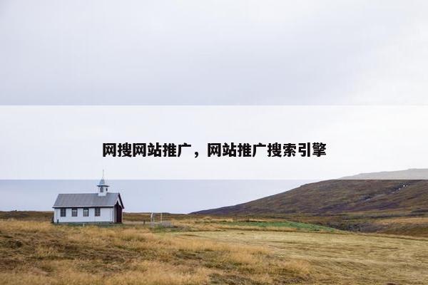 网搜网站推广，网站推广搜索引擎