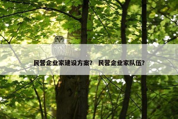 民营企业家建设方案？ 民营企业家队伍？