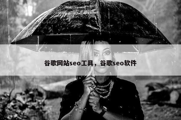 谷歌网站seo工具，谷歌seo软件