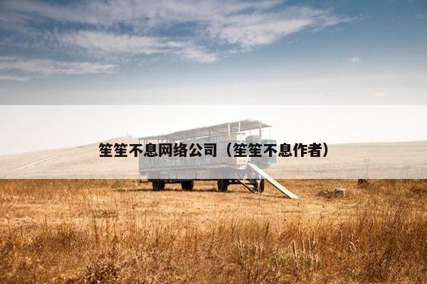 笙笙不息网络公司（笙笙不息作者）
