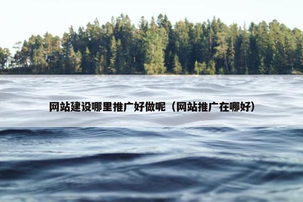 网站建设哪里推广好做呢（网站推广在哪好）