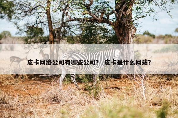 皮卡网络公司有哪些公司？ 皮卡是什么网站？