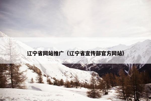 辽宁省网站推广（辽宁省宣传部官方网站）