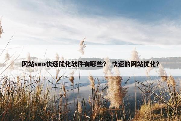 网站seo快速优化软件有哪些？ 快速的网站优化？