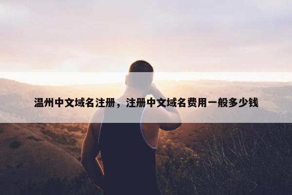 温州中文域名注册，注册中文域名费用一般多少钱