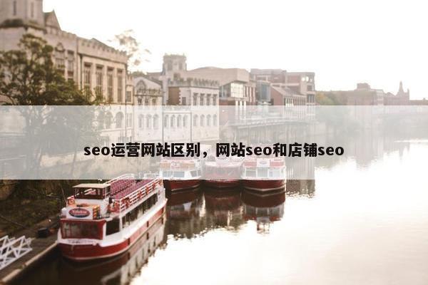 seo运营网站区别，网站seo和店铺seo