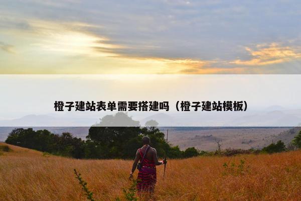 橙子建站表单需要搭建吗（橙子建站模板）