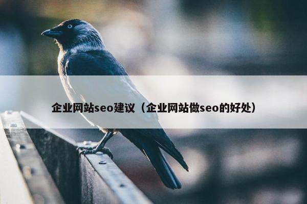 企业网站seo建议（企业网站做seo的好处）