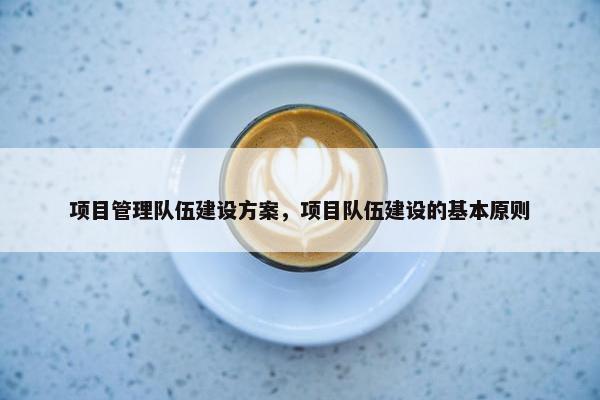 项目管理队伍建设方案，项目队伍建设的基本原则