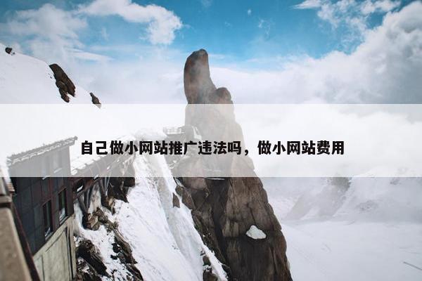 自己做小网站推广违法吗，做小网站费用
