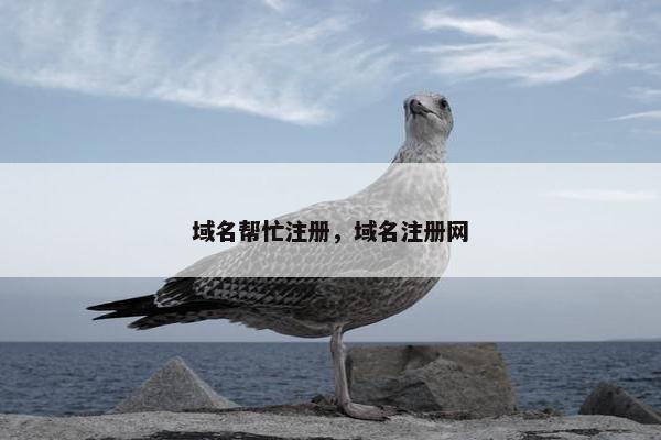 域名帮忙注册，域名注册网