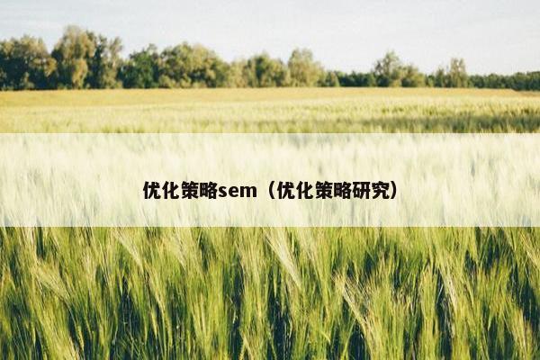 优化策略sem（优化策略研究）