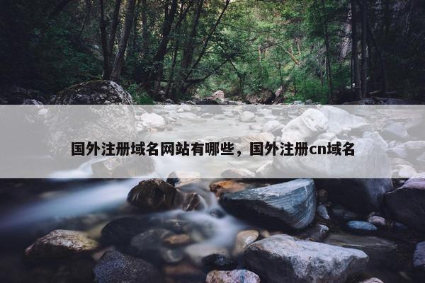 国外注册域名网站有哪些，国外注册cn域名