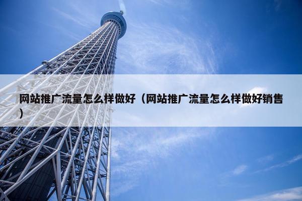 网站推广流量怎么样做好（网站推广流量怎么样做好销售）