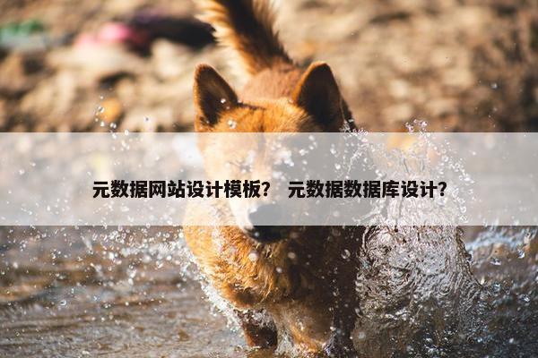 元数据网站设计模板？ 元数据数据库设计？