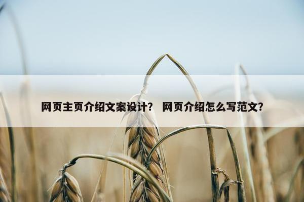 网页主页介绍文案设计？ 网页介绍怎么写范文？