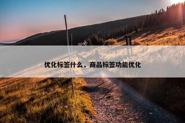 优化标签什么，商品标签功能优化