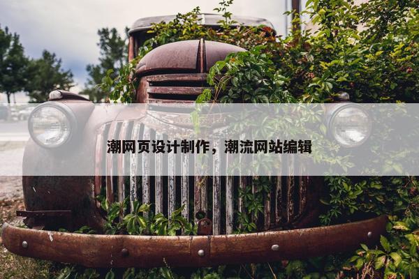潮网页设计制作，潮流网站编辑