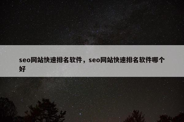 seo网站快速排名软件，seo网站快速排名软件哪个好