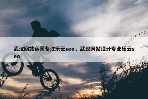 武汉网站运营专注乐云seo，武汉网站设计专业乐云seo