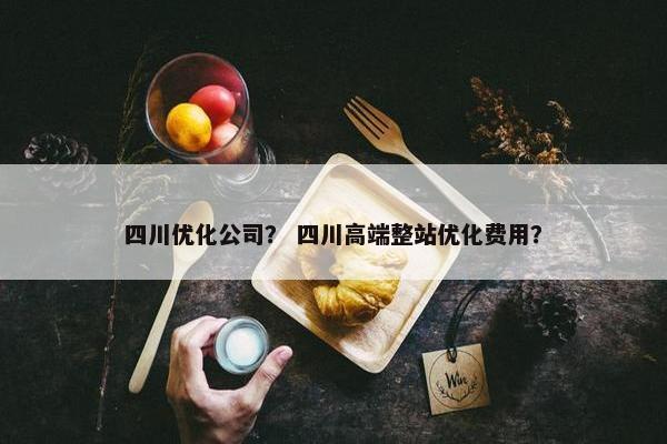 四川优化公司？ 四川高端整站优化费用？