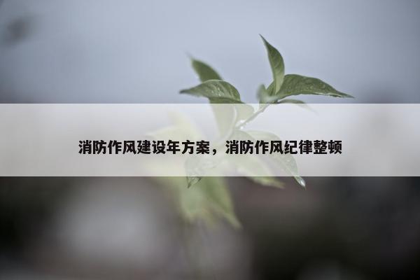 消防作风建设年方案，消防作风纪律整顿