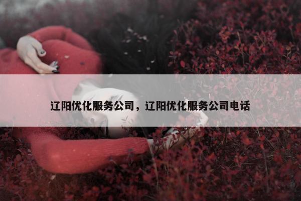 辽阳优化服务公司，辽阳优化服务公司电话