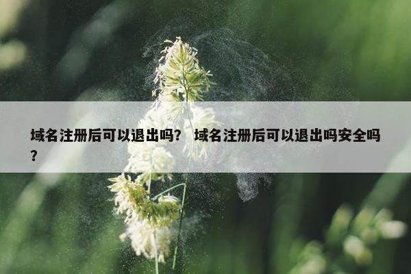域名注册后可以退出吗？ 域名注册后可以退出吗安全吗？