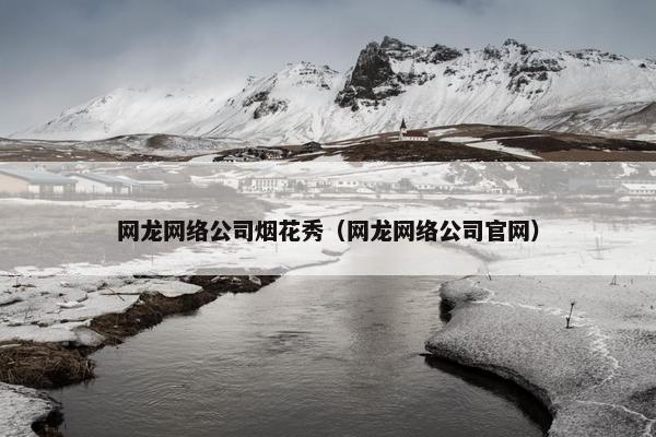 网龙网络公司烟花秀（网龙网络公司官网）